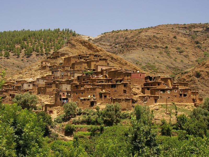 Amazigh