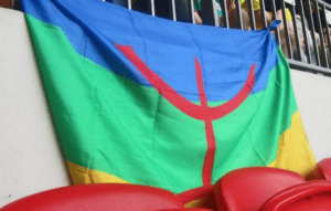 Amazigh flag