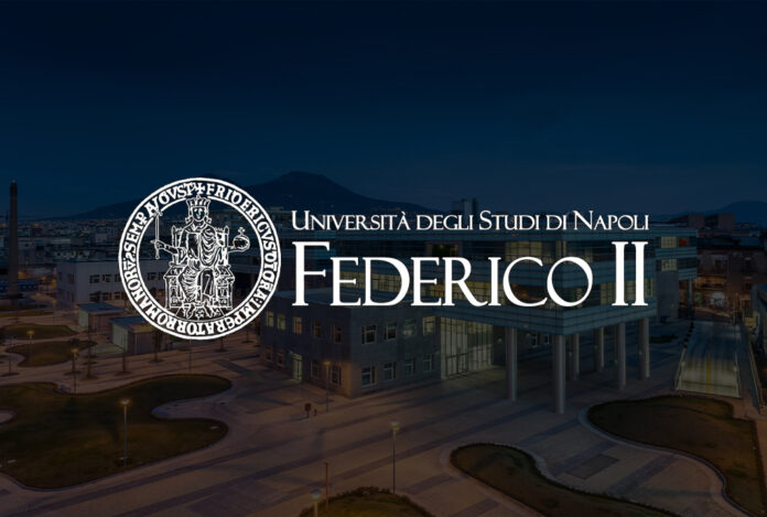 university of naples